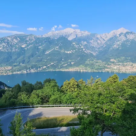 Pet Friendly Mirabeau Bellagio