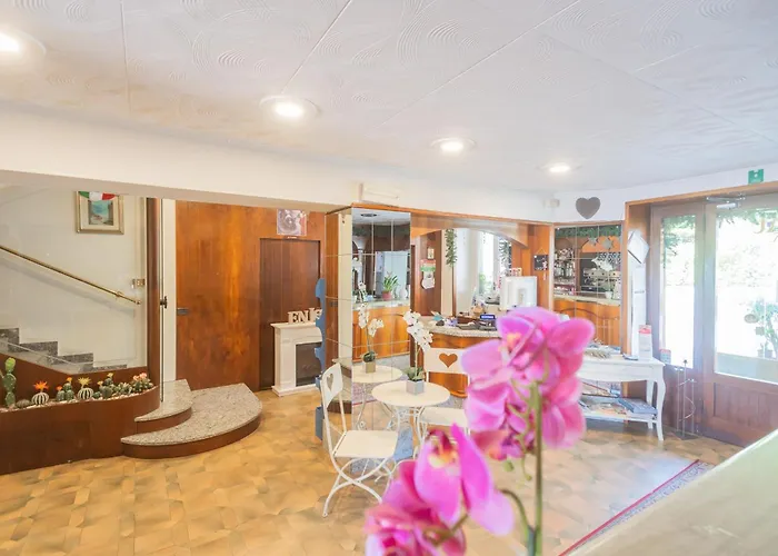 Pet Friendly Mirabeau Hotel