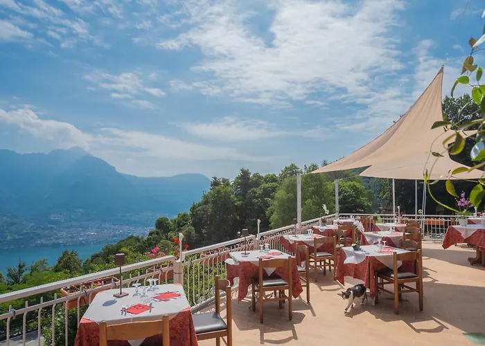 Hotel Pet Friendly Mirabeau 3*