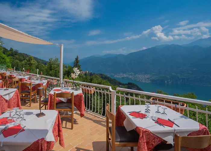 Pet Friendly Mirabeau Hotel