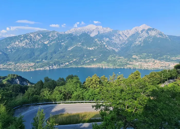 Pet Friendly Mirabeau Bellagio